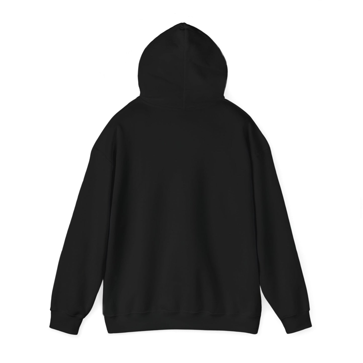 Veterinarian, DVM, Vet Tech Retro Hoodie, Gift for Vet Graduation, Vet Students